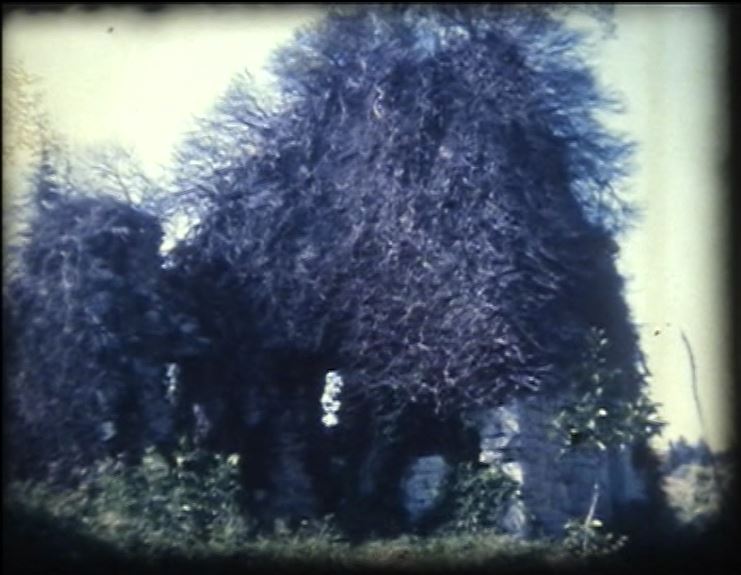 Foto del 1962 dei ruderi dell'abazia di Acqualta